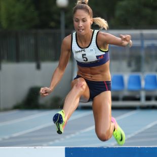 Steeple F