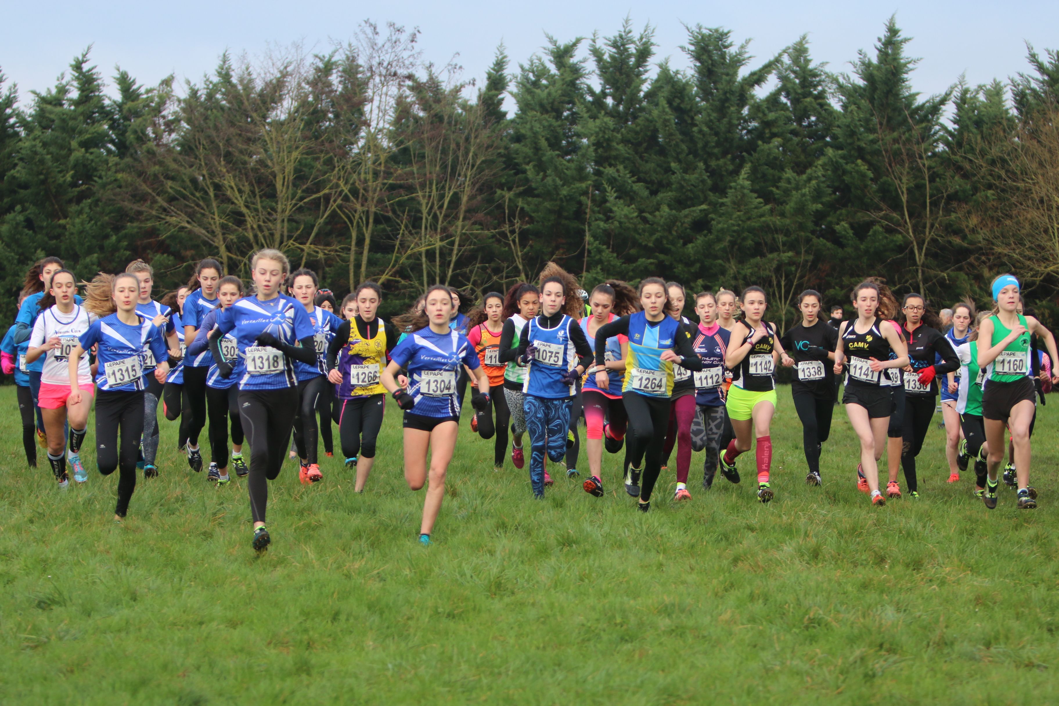 Cross country