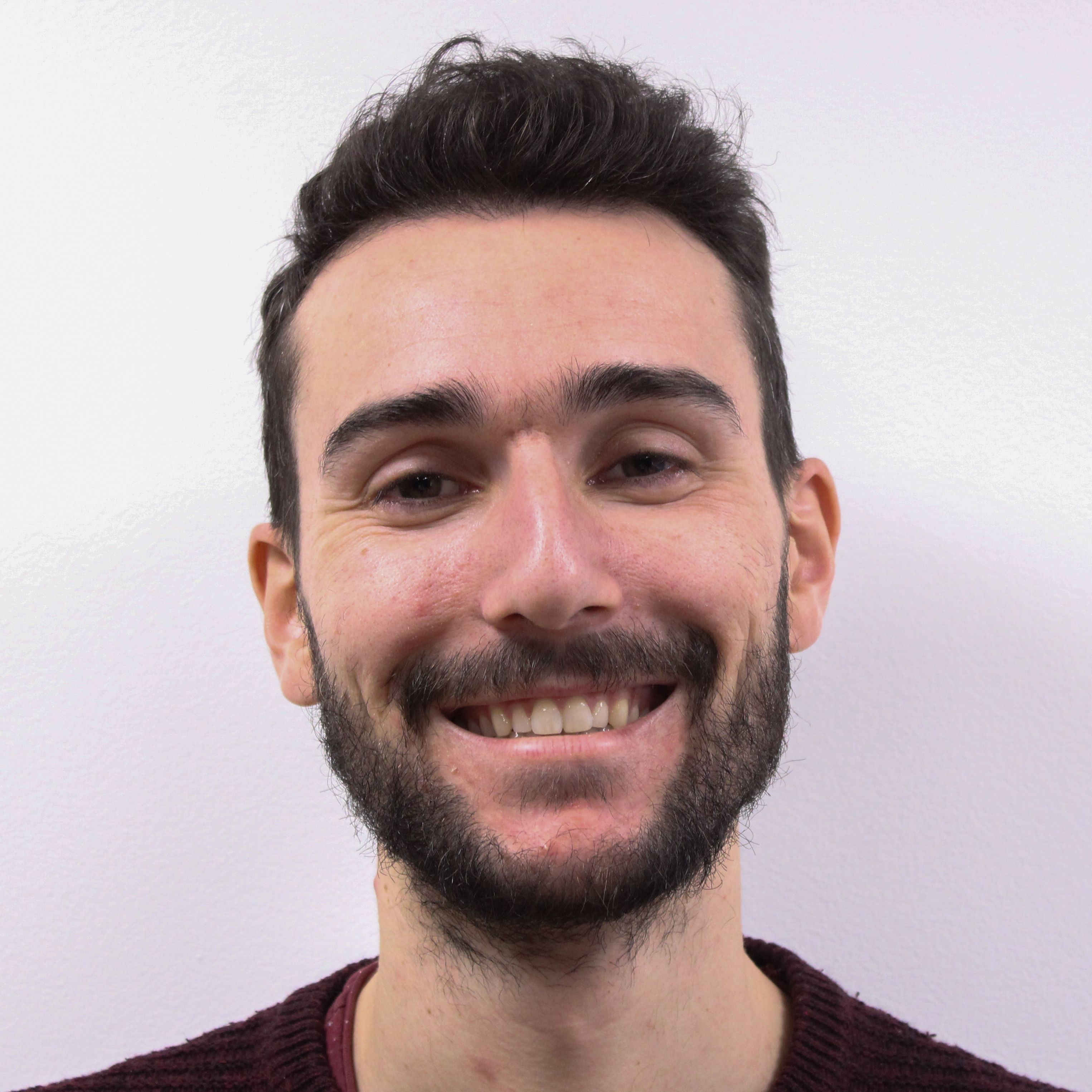 Yanis Desmedt