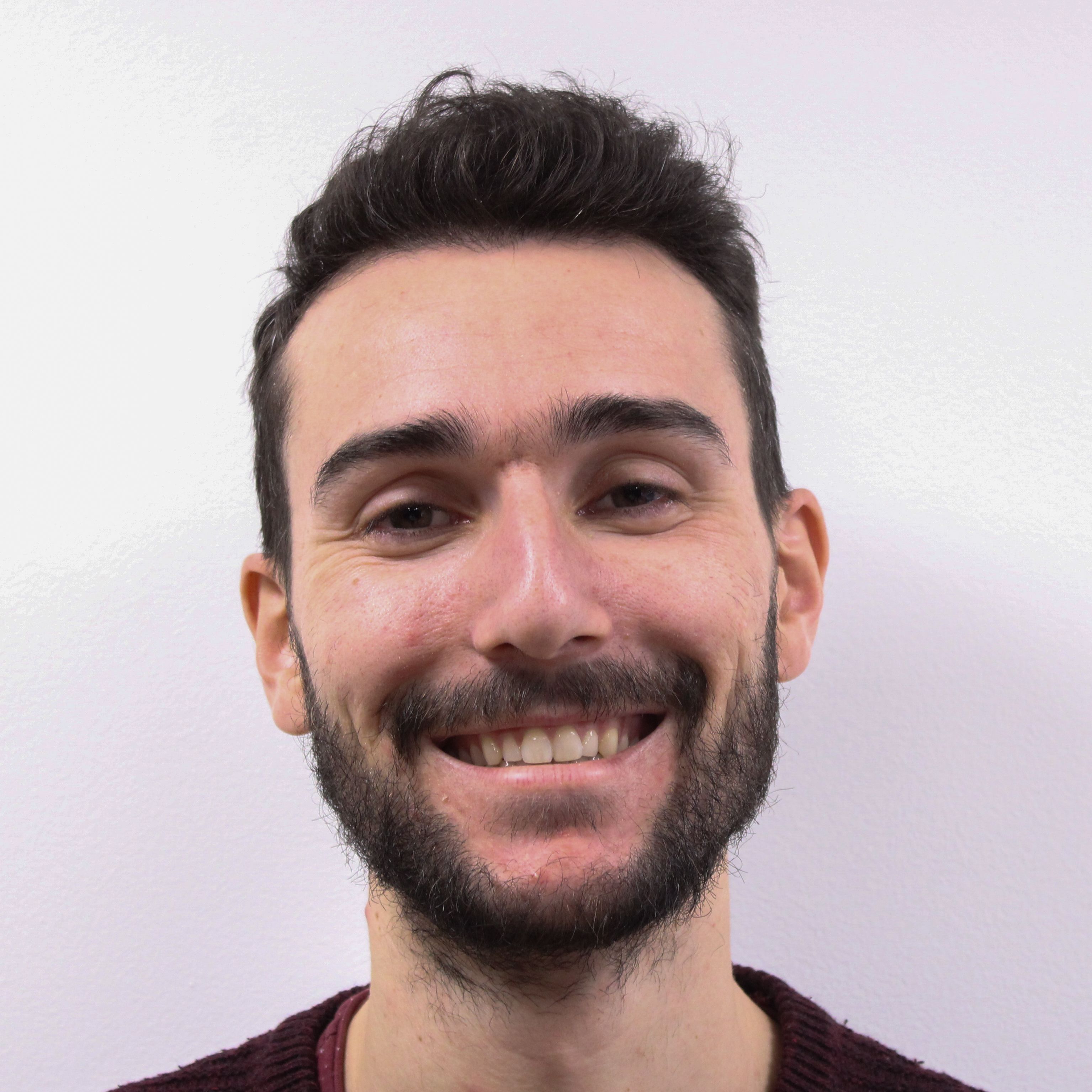 Yanis Desmedt